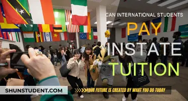 International Students: Affordable In-State Tuition Options