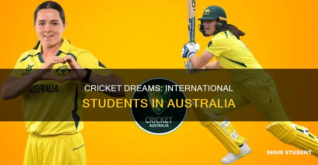 can international students play cricket in australia