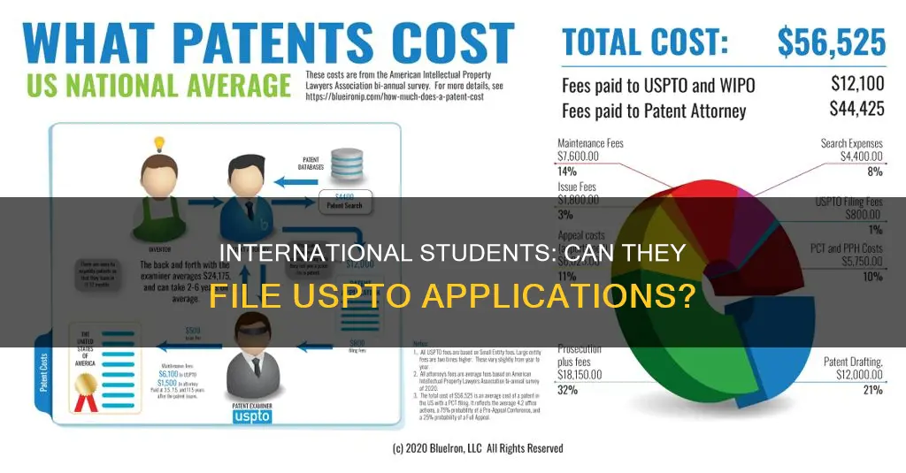 can international students put in uspto application