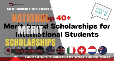 International Students: National Merit Scholarships Eligibility
