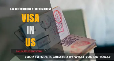 International Students: Renewing US Visas