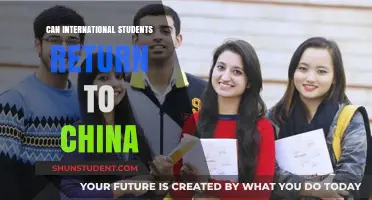 Returning to China: International Students' Dilemma