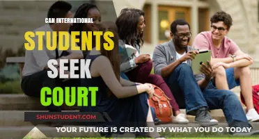 International Students: Can They Seek Court Justice?