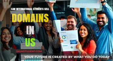 International Students: Domain Sales in the US