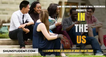 International Students: Homemade Products Sales in the US