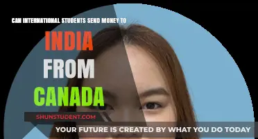 Sending Money to India: Options for International Students in Canada