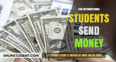 Sending Money Home: Options for International Students