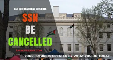SSNs for International Students: What You Need to Know