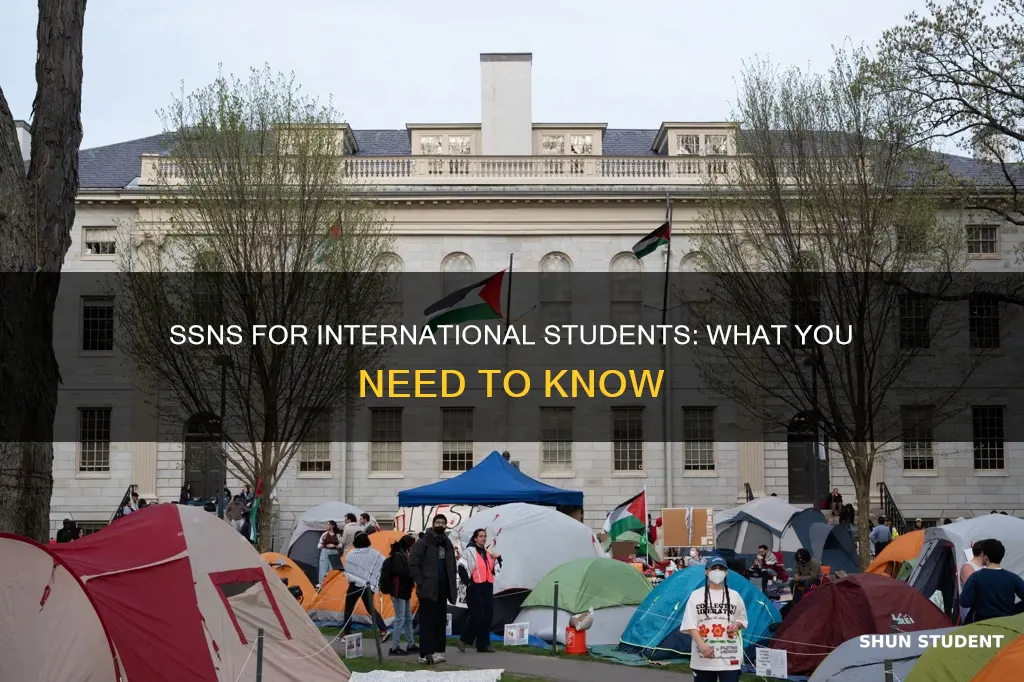 can international students ssn be cancelled