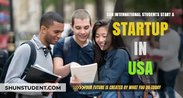 International Students: Launching Startups in the USA