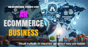 International Students: E-commerce Entrepreneurs?