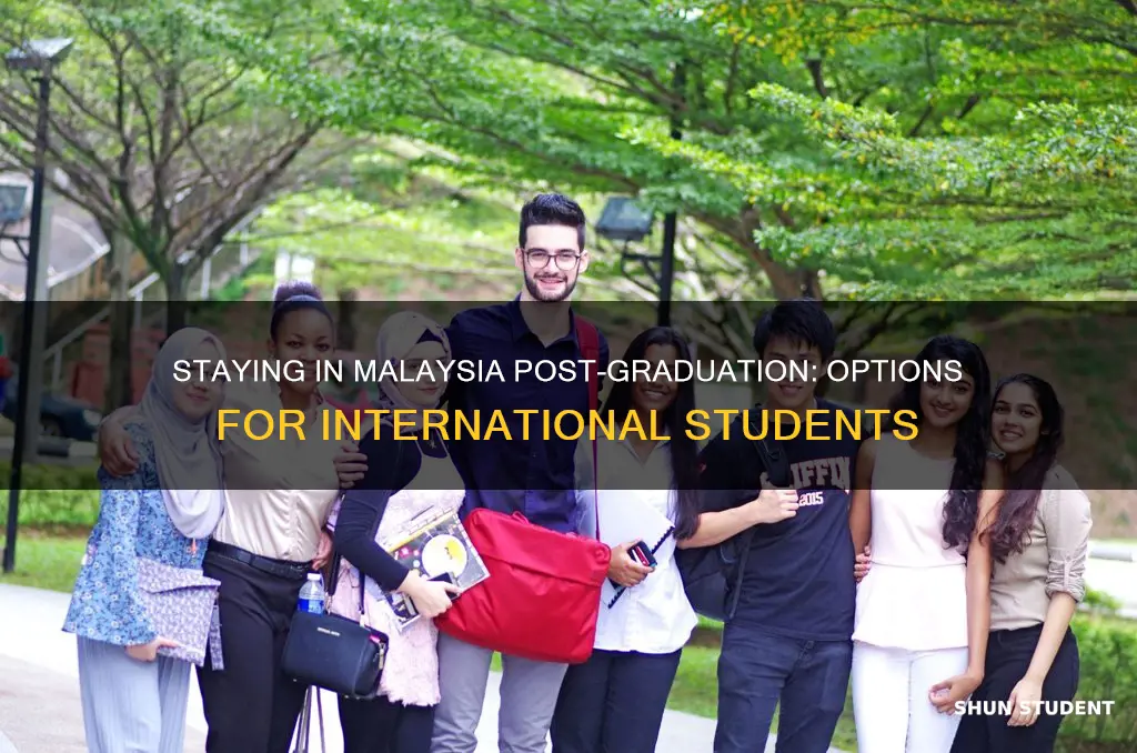 can international students stay in malaysia after graduation