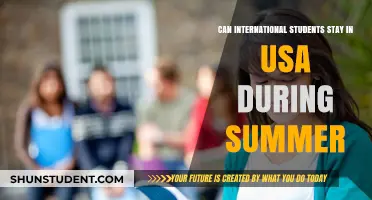 Staying in the USA: International Students' Summer Options