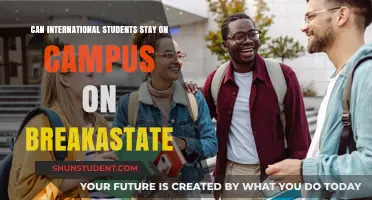 Staying on Campus: International Students' Break Options