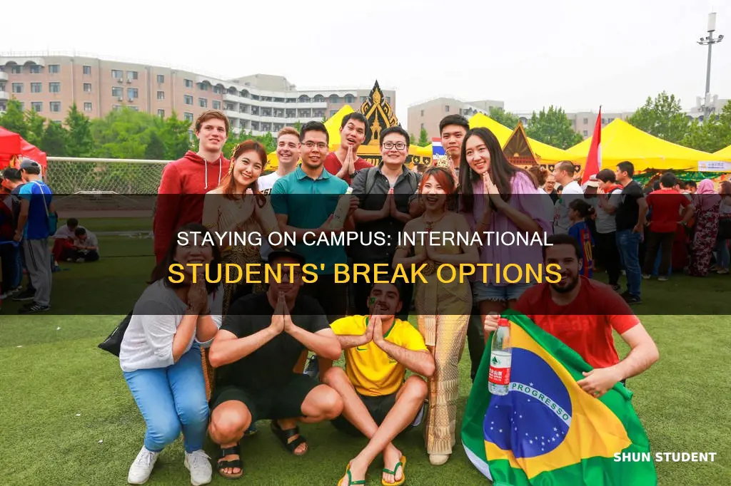 can international students stay on campus on breakastate