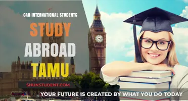 Study Abroad at Texas A&M as an International Student