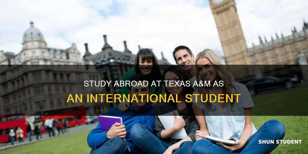 can international students study abroad tamu