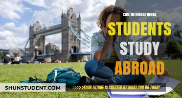 Studying Abroad: Options for International Students