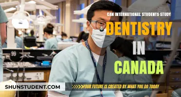 Studying Dentistry in Canada: Options for International Students