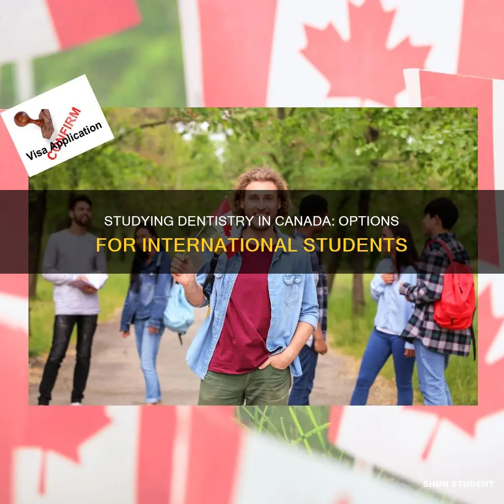 can international students study dentistry in canada