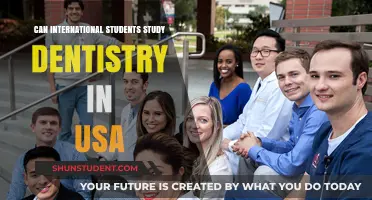 Study Dentistry in the USA as an International Student