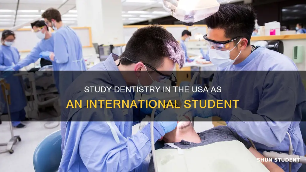 can international students study dentistry in usa