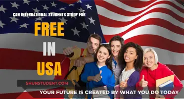 Studying in the USA: Free for International Students?