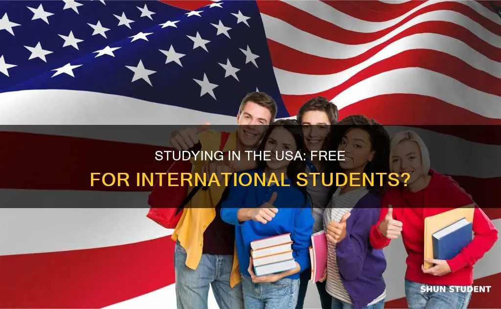 can international students study for free in usa