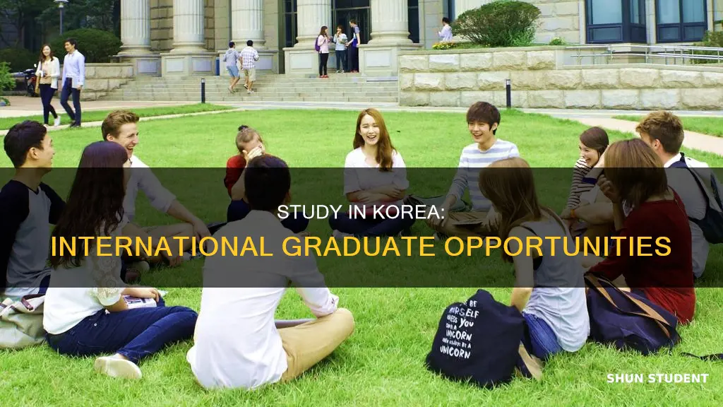 can international students study graduate in korea