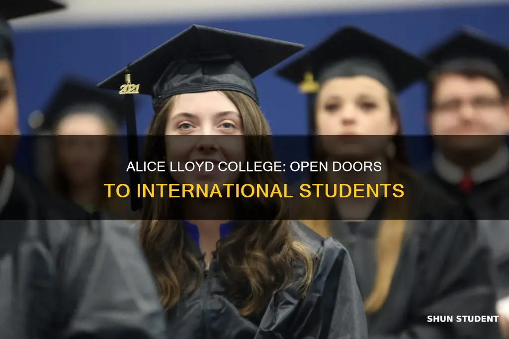 can international students study in alice lloyd