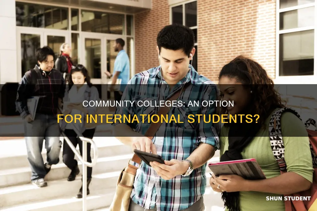 can international students study in community colleges