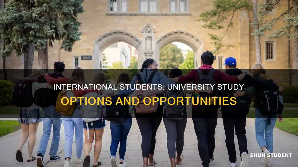 can international students study in university