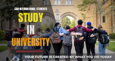 Study Abroad: University Options for International Students