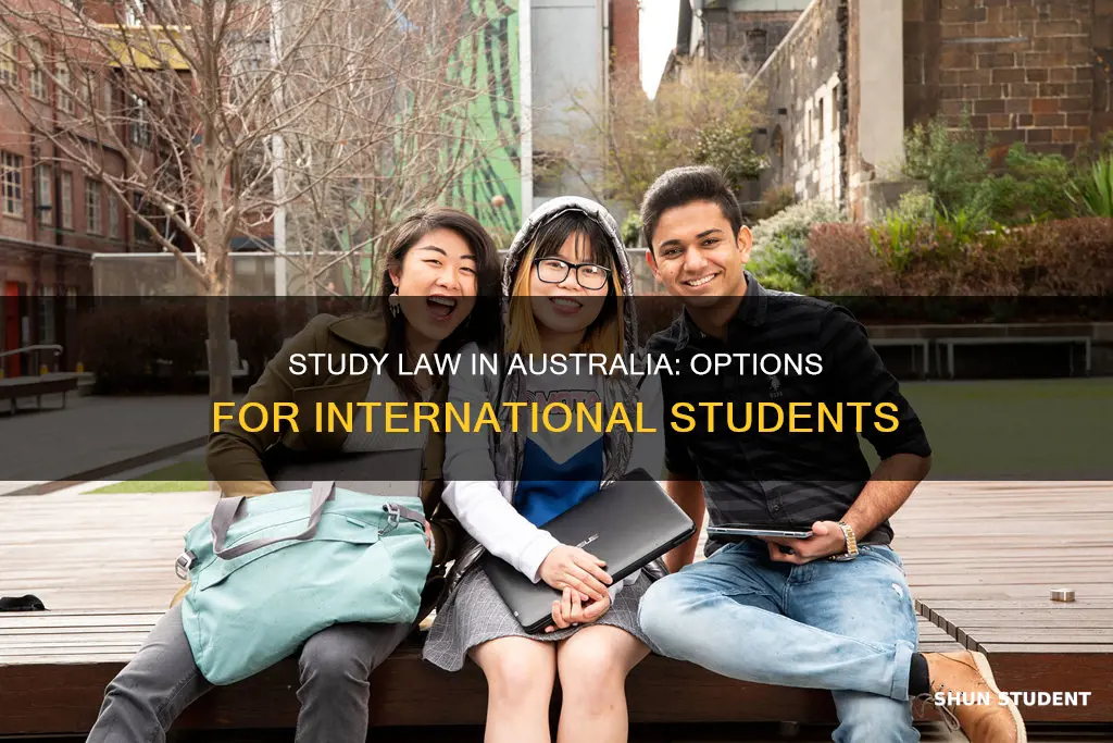 can international students study law in australia