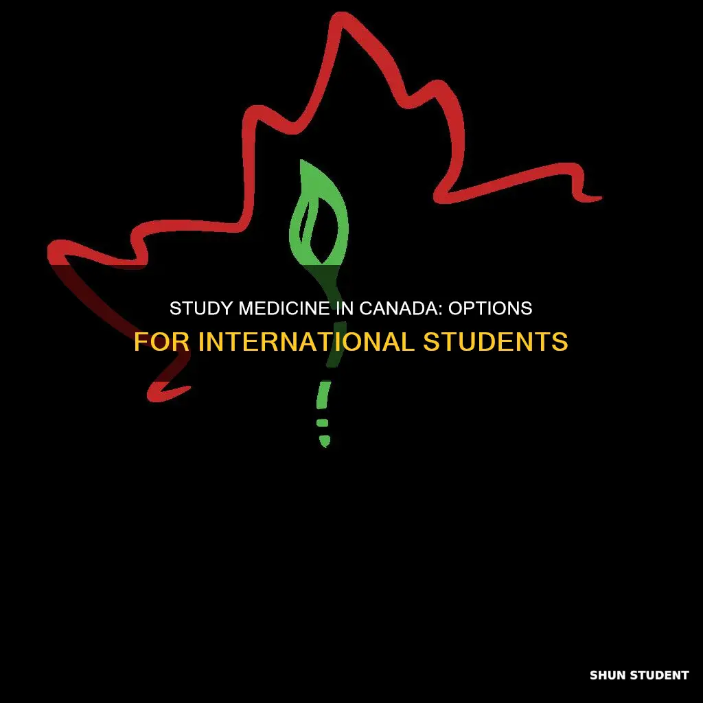 can international students study medicine in canada