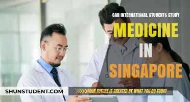 Study Medicine in Singapore: Options for International Students
