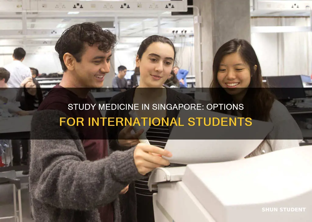 can international students study medicine in singapore