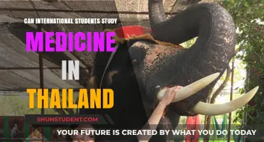 Study Medicine in Thailand: Options for International Students