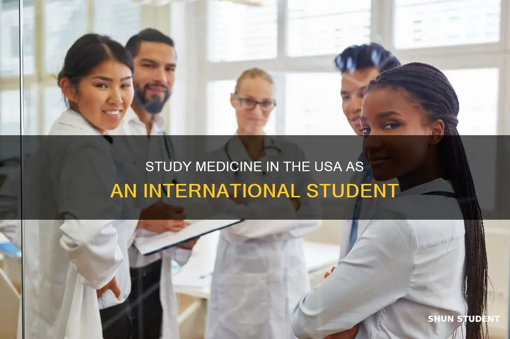 can international students study medicine in usa