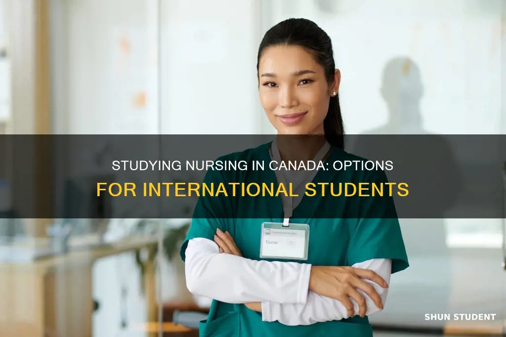 can international students study nursing in canada