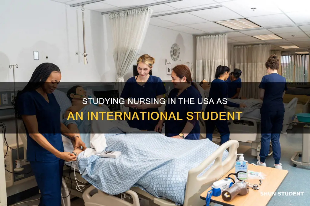 can international students study nursing in usa