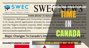 Studying Part-Time in Canada: Options for International Students
