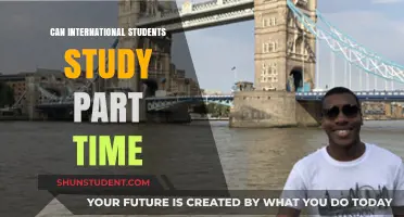 Studying Part-Time: Options for International Students