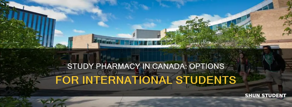 can international students study pharmacy in canada