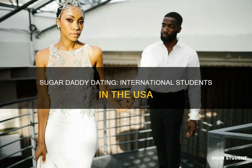 can international students sugar daddy usa