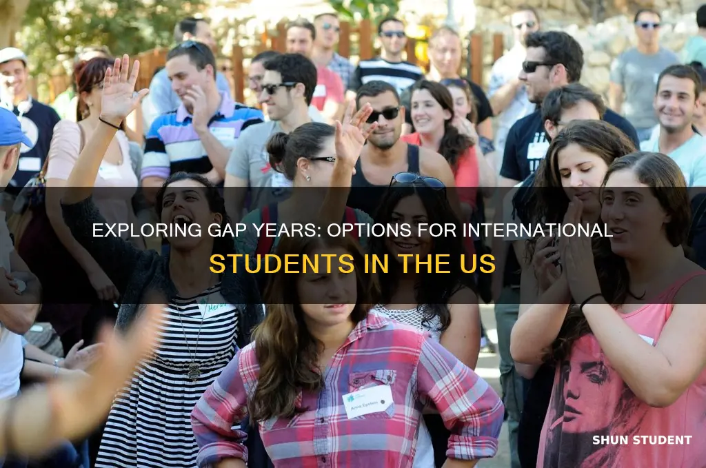 can international students take a gap year in the states