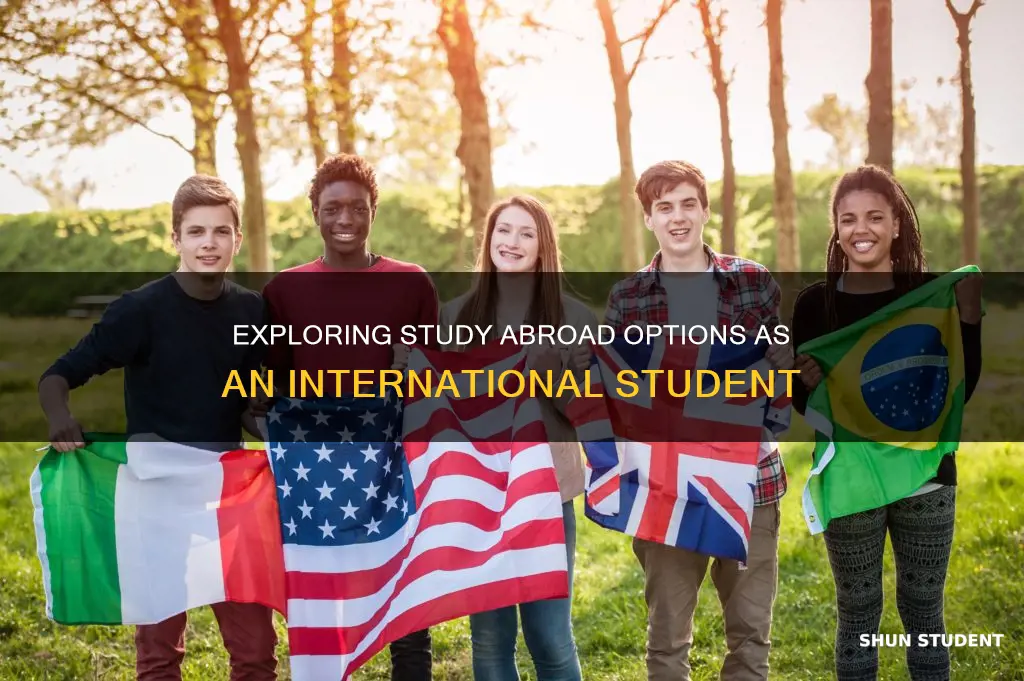 can international students take a semester in another university