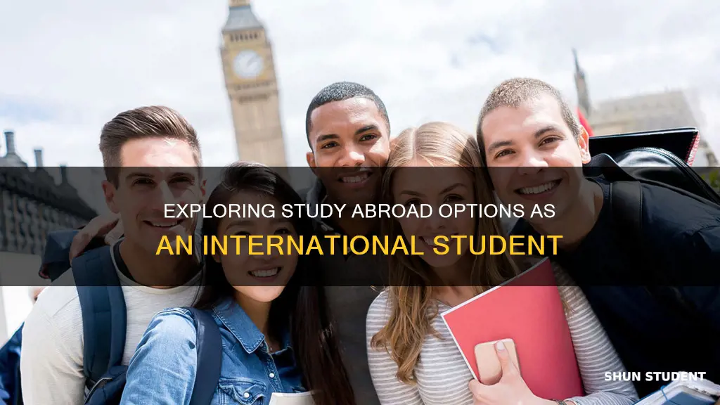 can international students take a semester in another university