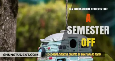 Semester Breaks: Options for International Students