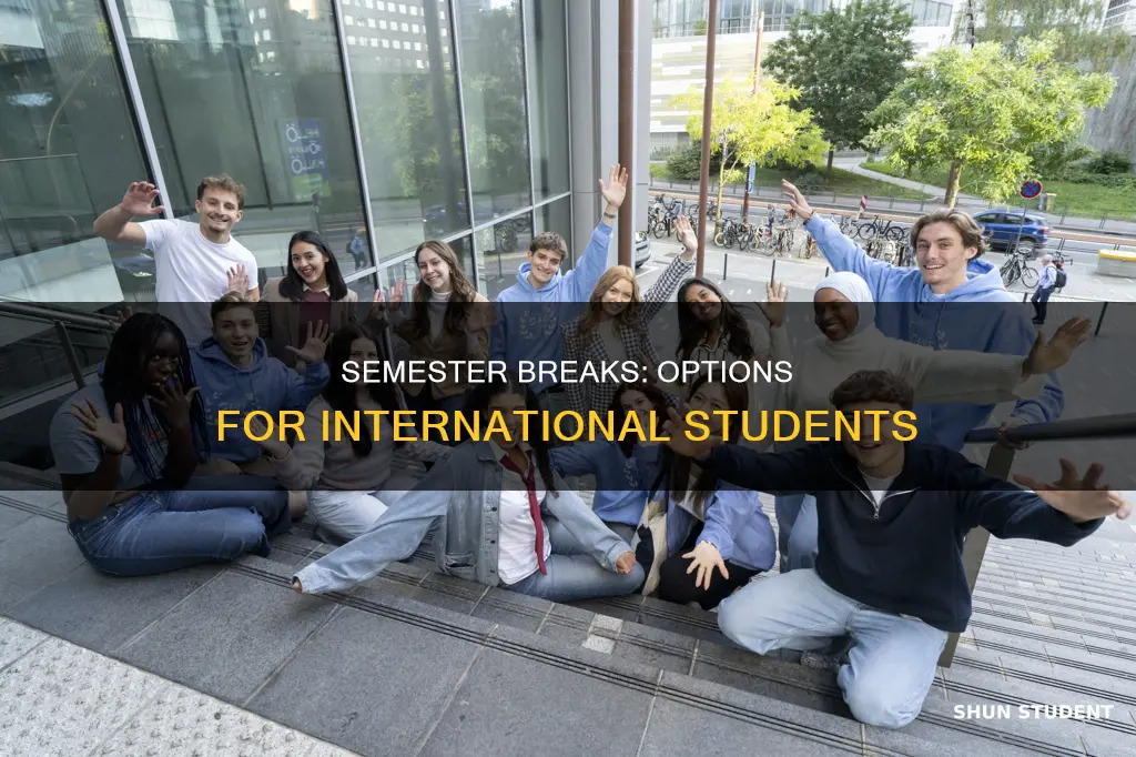 can international students take a semester off